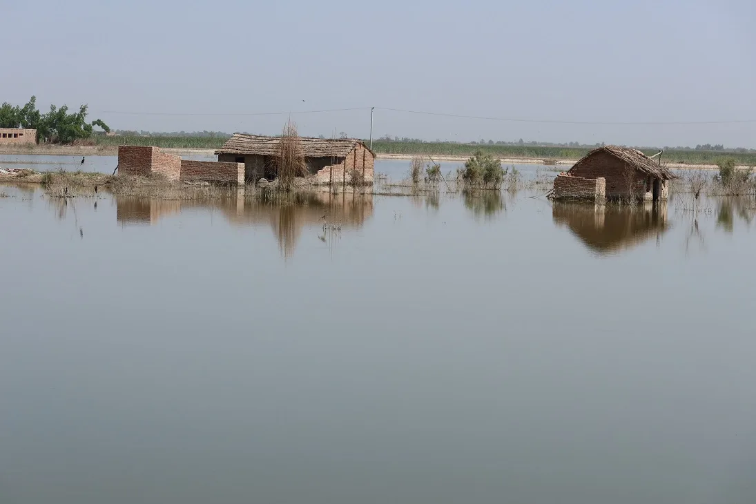 パキスタン南部洪水被災地
